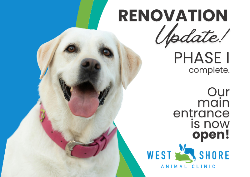 Carousel Slide 1: Learn More >>